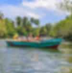 Bentota city tour : Experience Madhu River Ride ,Turtle Hatchery and Water sports