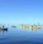Stradbroke Island Kayak and Snorkeling Tour