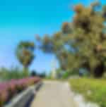 Half day tour to Batumi city & Botanical garden including tickets & private transfers