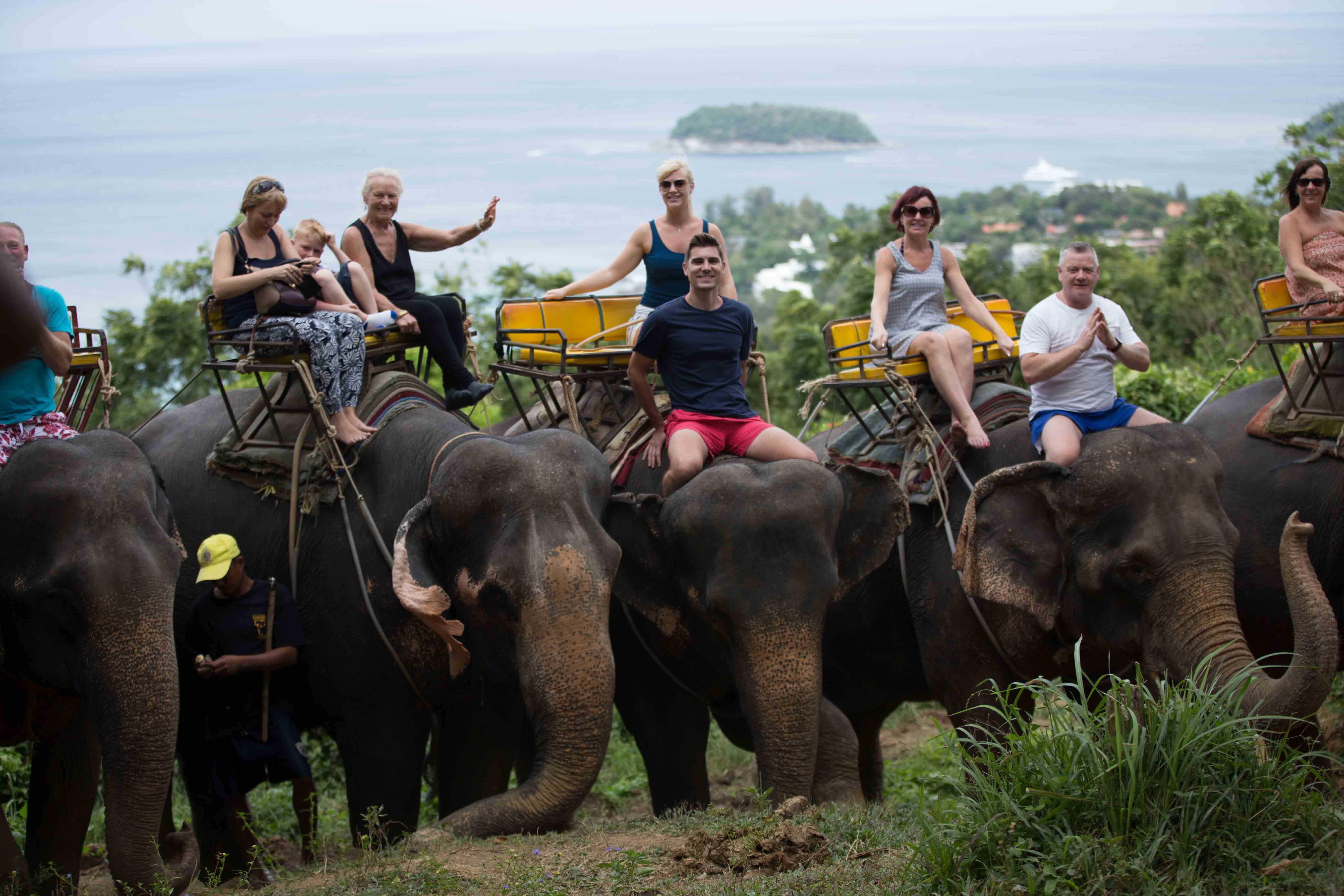 Phuket-Elephant Trekking 1 Hour. (Phuket) (Shared Transfer)- A3