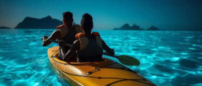 Bioluminescence & Sunrise Kayaking, Havelock