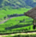 Sapa (2D1N) – 01: Cat Cat – Lao Chai – Ta Van (4 Star Hotel) Shared transfers