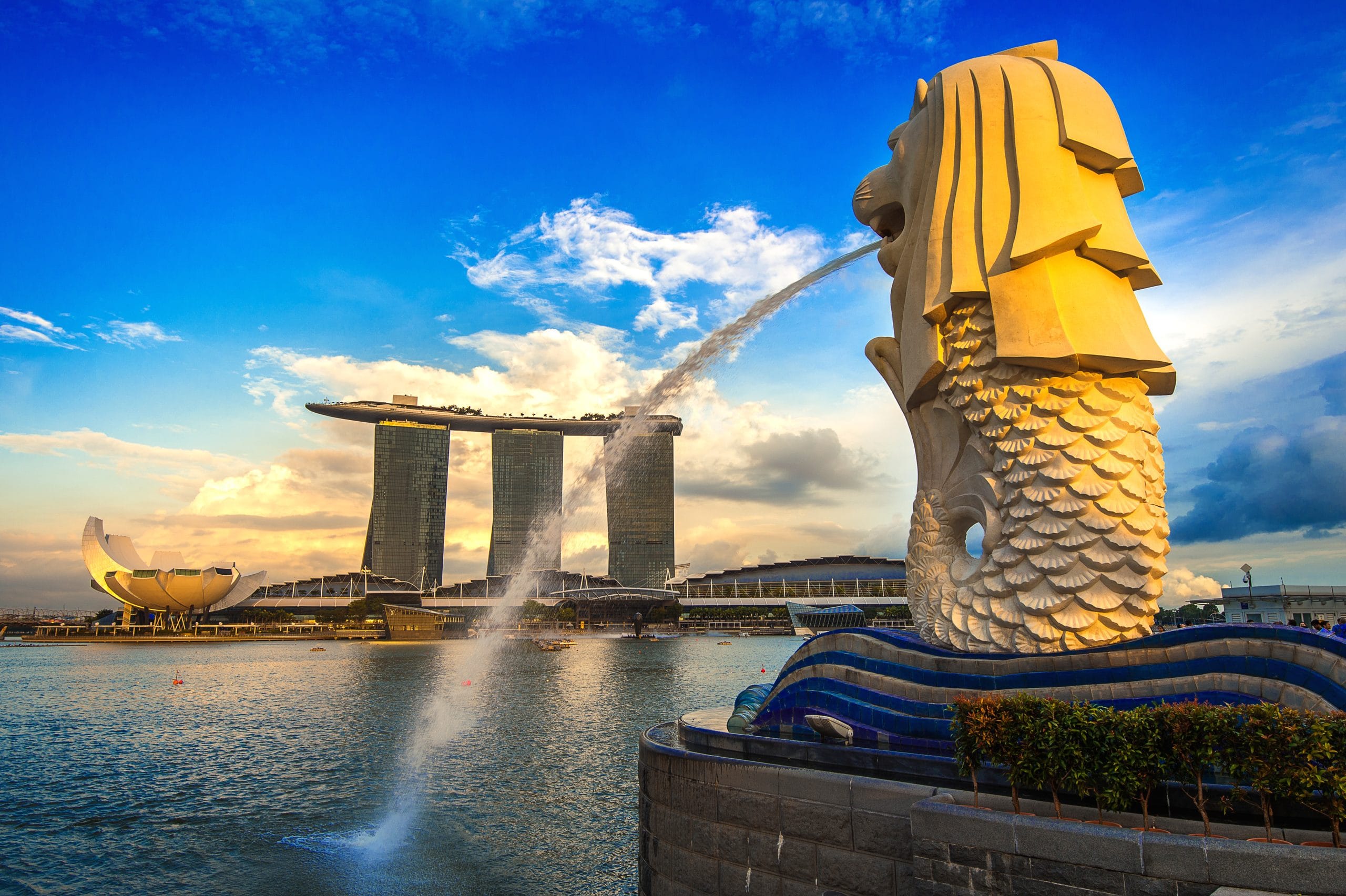 City Tour, Marina Bay Sands and Gardens By The Bay (Cloud Forest and Flower Dome) with Private Transfers  