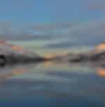 Exclusive RIB Sea Eagle Safari Trollfjord Cruise