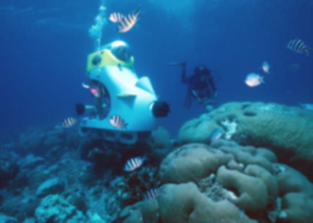 Blue Safari Submarine: Dive into the Deep