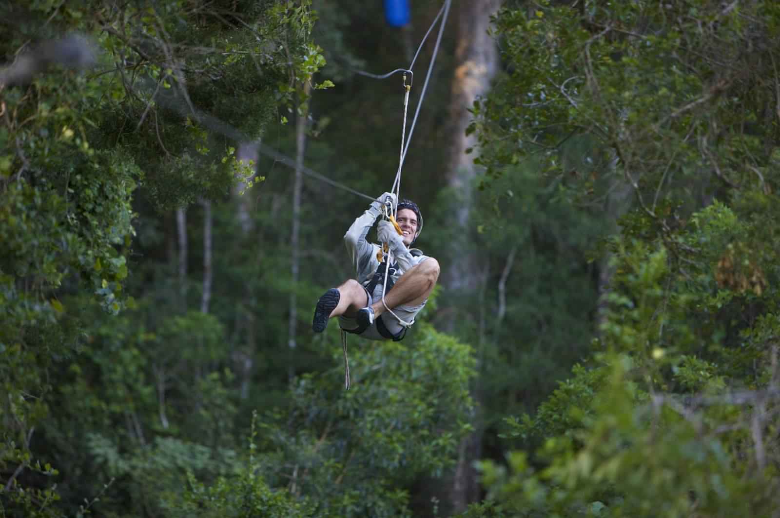 Beautiful sights during canopy tour in Tsitsikamma