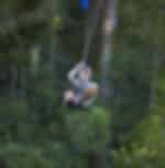 Beautiful sights during canopy tour in Tsitsikamma