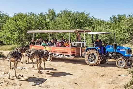 Safari Ostrich Farm - Tractor Safari