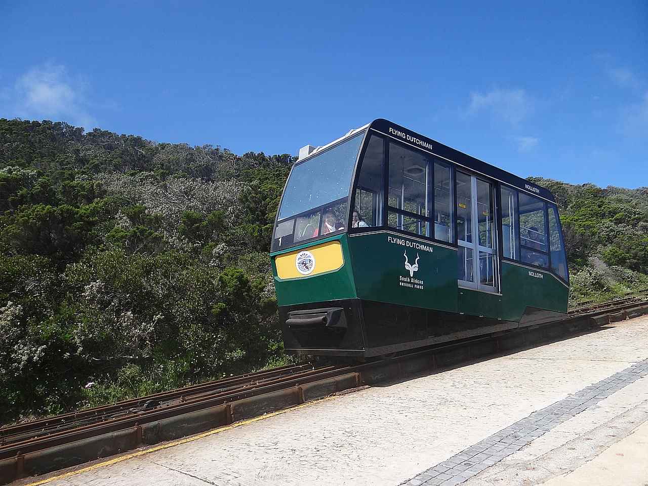 Embark on a Cruise to Seal Island with visits to Boulder's beach and Cape Point Funicular