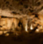 Explore the picturesque Cango caves, wildlife ranch & Ostrich Farm in Oudtshoorn