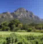 Experience thrill feels at Table mountain cable car & Kirstenbosch Botanical Gardens