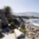 Scheduled Full Day Whales and Wine Tour