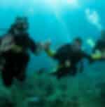 Discover Padi Beach program at Phi Phi Island with fun-filled beach diving scenes