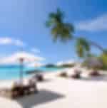 Nha Trang Private Day Trip to Nha Trang Islands