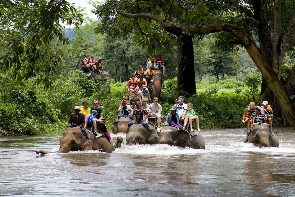  River kwai with elephant & bamboo rafting with lunch and a full-day tour to the heart of the Kanchanaburi jungle