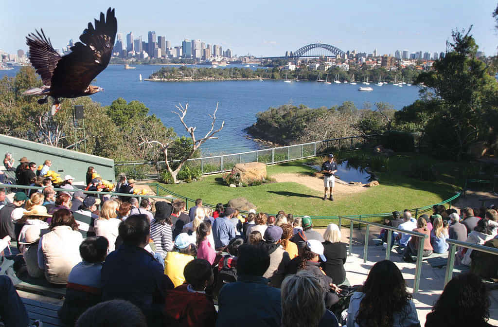 Taronga Zoo Sydney Admissions