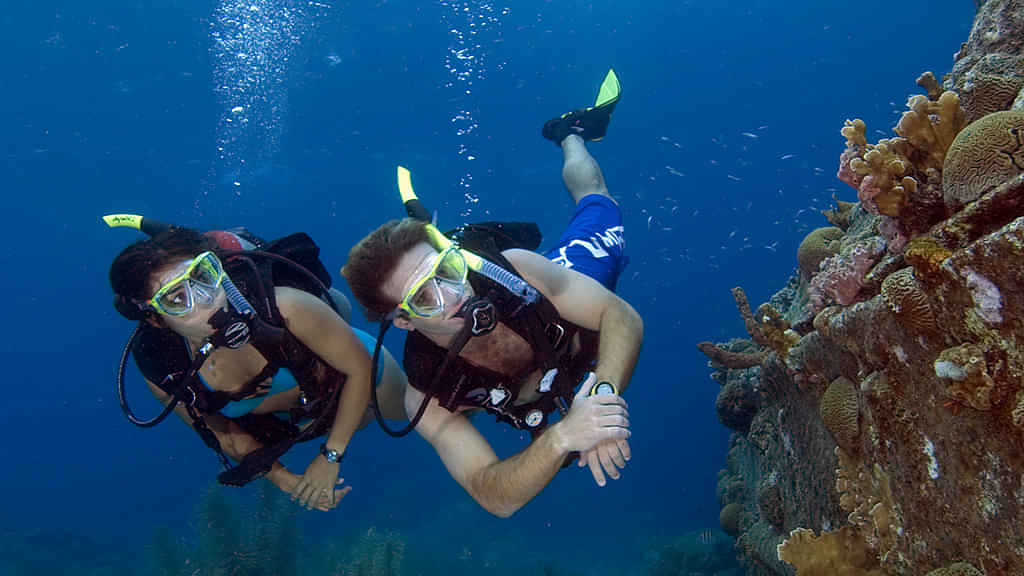 Samui Diving - Scuba dive around the beautiful islands and exploring the underwater world 