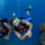 Samui Diving - Scuba dive around the beautiful islands and exploring the underwater world