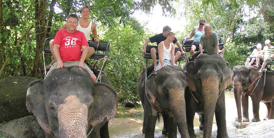  Eco-adventure tour with a good mix of sea and land experiences with an elephant trek for 30 mins