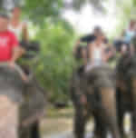 Eco-adventure tour with a good mix of sea and land experiences with an elephant trek for 30 mins