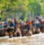 Enthralling Hot Spring & jungle tour whilst exploring the Natural Wonders of Krabi