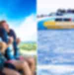 Gold Coast Whale Watching Cruise with a visit to Dreamworld