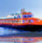 Bosphorus Dinner Cruise with Turkish Night Show from Istanbul