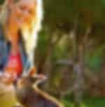 Moonlit Sanctuary Wildlife Conservation Park Evening Tour