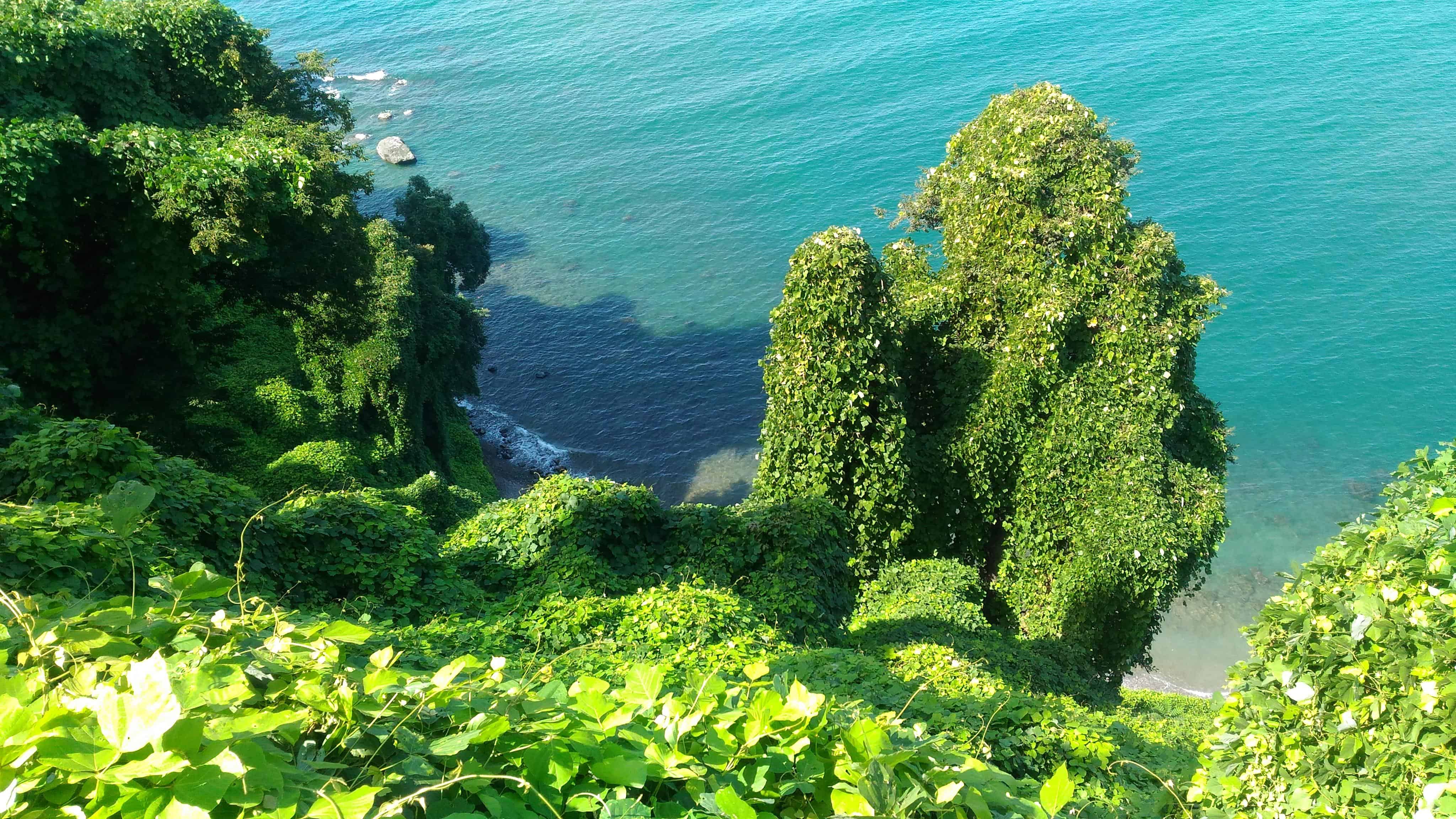 Full Day Trip To Batumi City Tour And Botanical Garden With Private Transfers