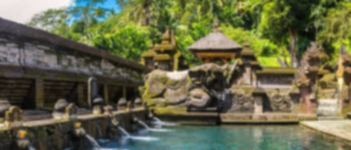 Visit to Tirtha Empul, Ulu Petanu Water Falls and Aloha Swing with Complimentary Dress