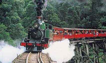 Day trip from Melbourne through the forests riding in a Puffing Billy Steam Train 