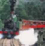 Day trip from Melbourne through the forests riding in a Puffing Billy Steam Train