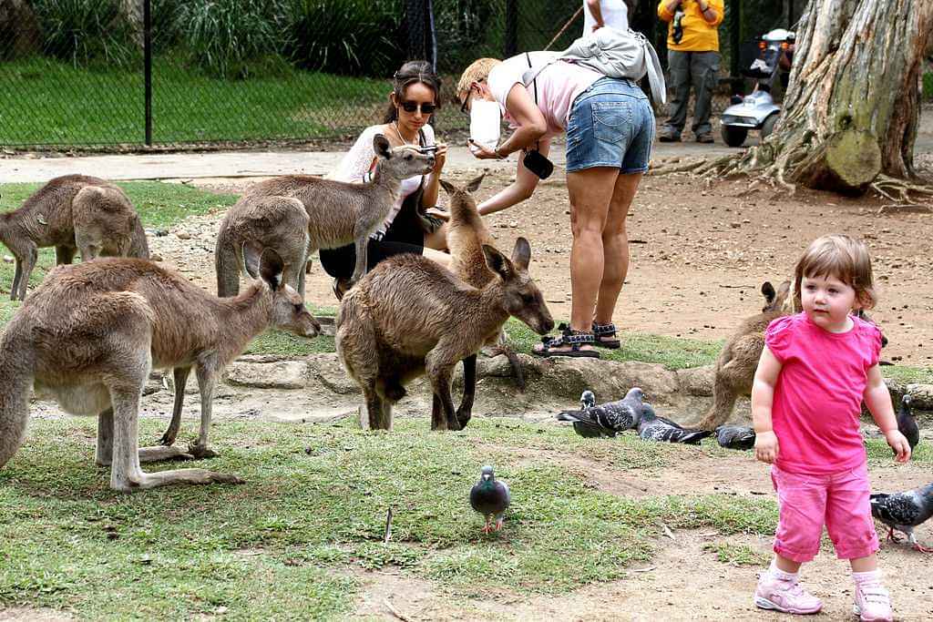 Currumbin Wildlife Sanctuary