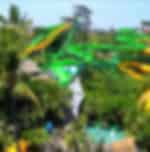 Currumbin Wildlife Sanctuary