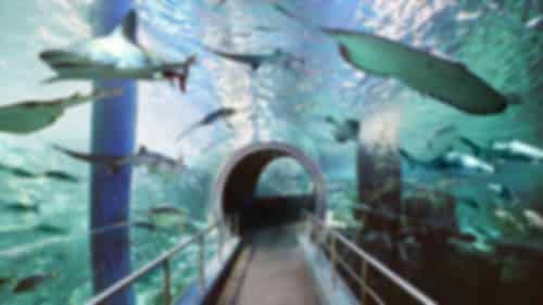 Itinerary gallery 3