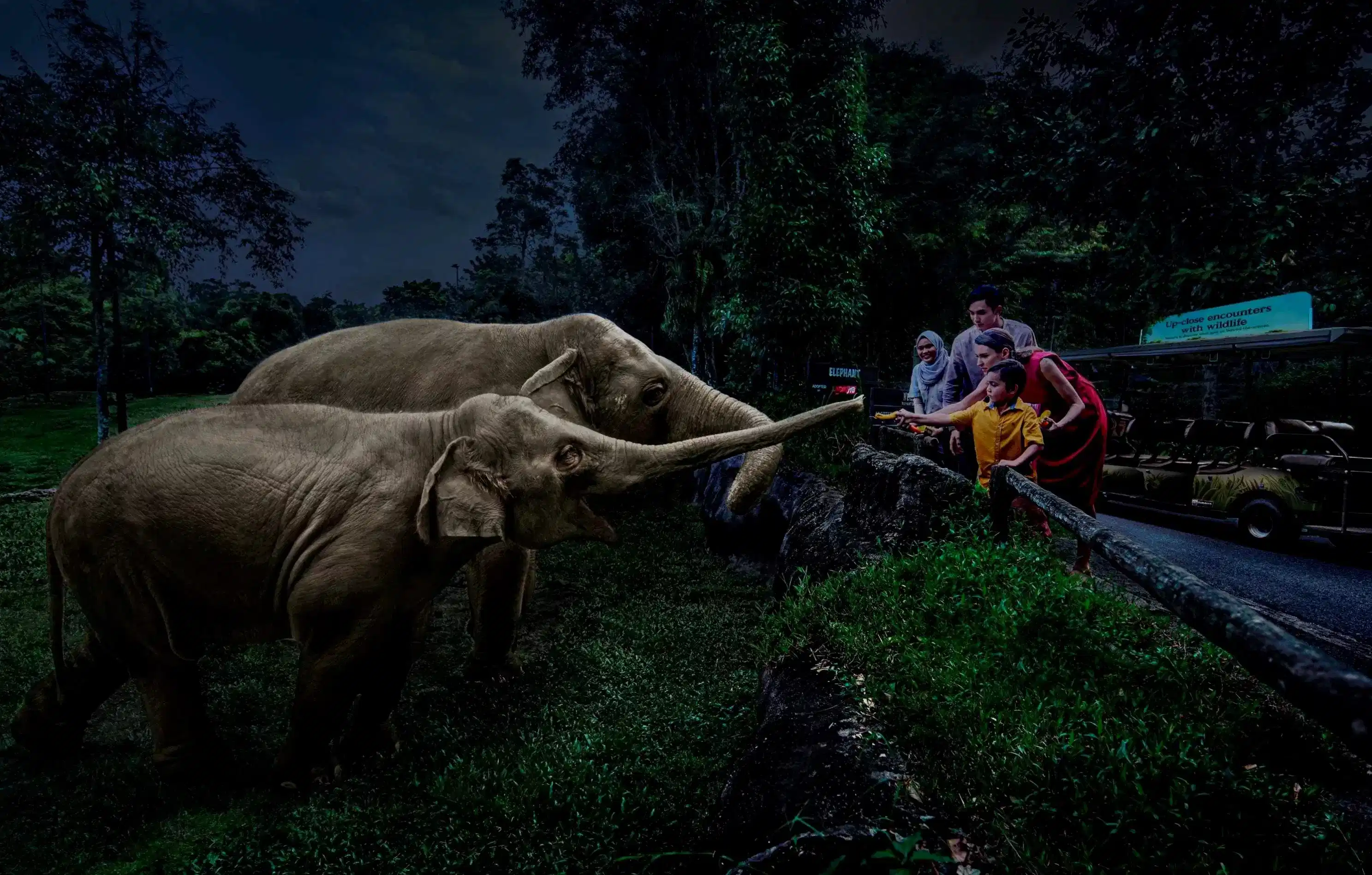 Visit Singapore's Night Safari on Shared Transfers