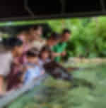 River Wonders with ARQ Boat Ride and Night Safari with tram on shared Basis