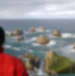 Nugget Point