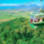 Kuranda Scenic Railway Up and Skyrail Rainforest Cableway Down
