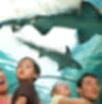 Sea Life Sydney Aquarium Tickets