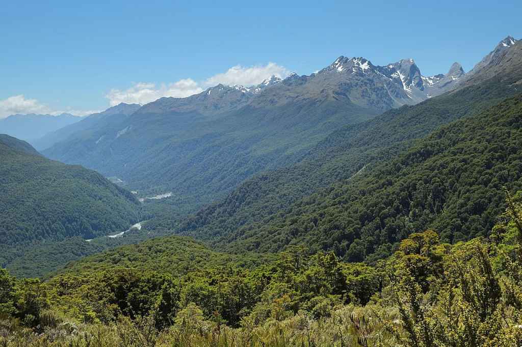 Venturing into the Fiordland National Park