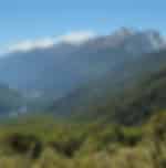 Venturing into the Fiordland National Park