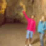 GLOWWORM CAVE + RUAKURI CAVE