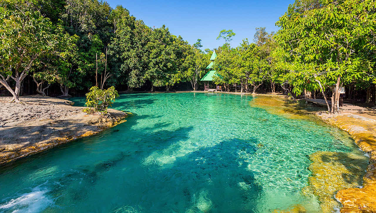 Half-Day Jungle Tour Including Crystal Pool and Krabi Hot Springs