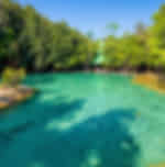 Half-Day Jungle Tour Including Crystal Pool and Krabi Hot Springs