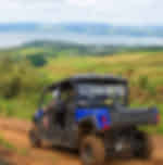 Off Road 4WD Buggy Tour Rotorua