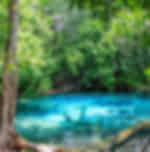 Jungle Tour Hot Spring and Emerald Pool