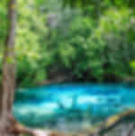 Jungle Tour Hot Spring and Emerald Pool