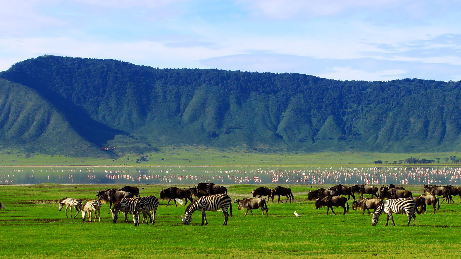 Crater Floor full day game drives