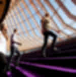 Sydney Opera House Tour with live commentary on the wonders of the building and constructions by an expert guide